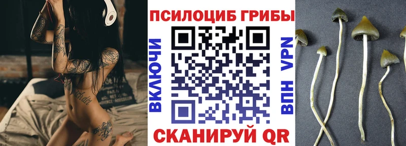 Псилоцибиновые грибы Psilocybe дарнет шоп Губкинский